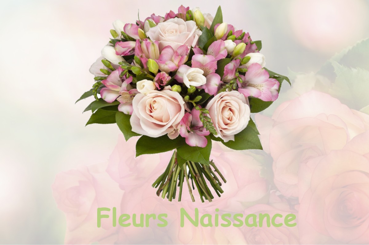 fleurs naissance SAINT-LAURENT-DE-NESTE